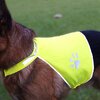 safety Vest for Dogs detail with name