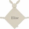 Pacifier cloth Bunny Ears with name